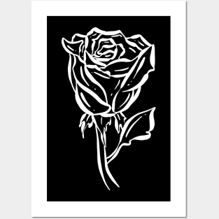 Beautiful White Rose Posters and Art